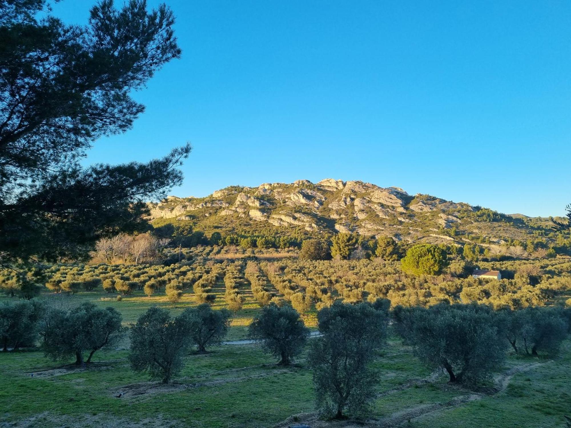 Les Garrigues de la Vallée des Baux Paradou Esterno foto