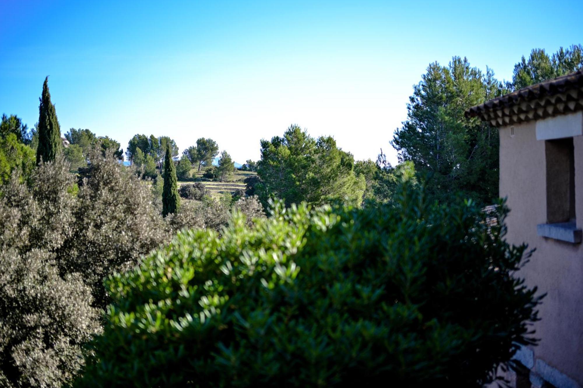 Les Garrigues de la Vallée des Baux Paradou Esterno foto